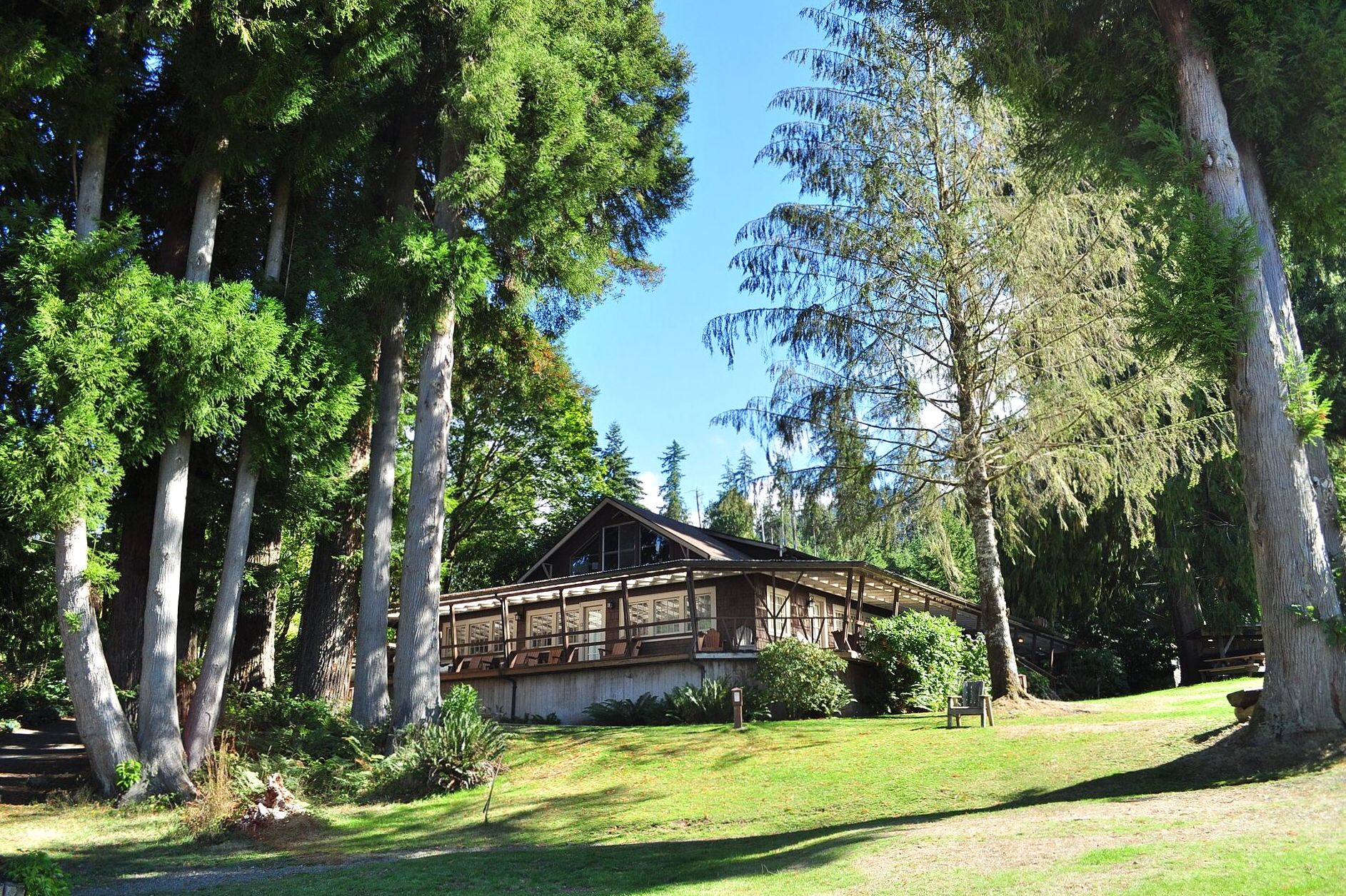 A wooden boathouse cabin sheltered by trees at the lake's edge